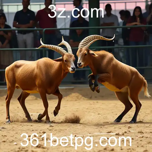 Gaming Experience 361bet - 800+ Premium and Exclusive Games